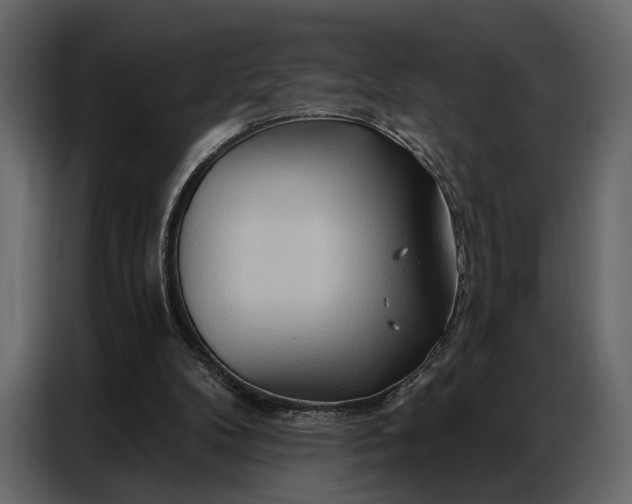 X0000086880104200705071210