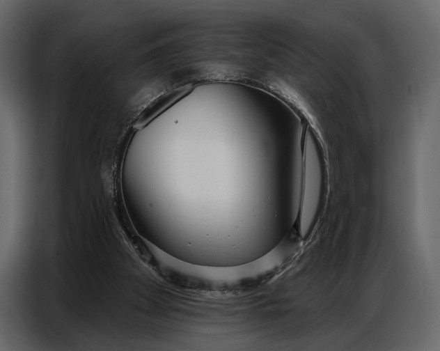 X0000086880105200705071210