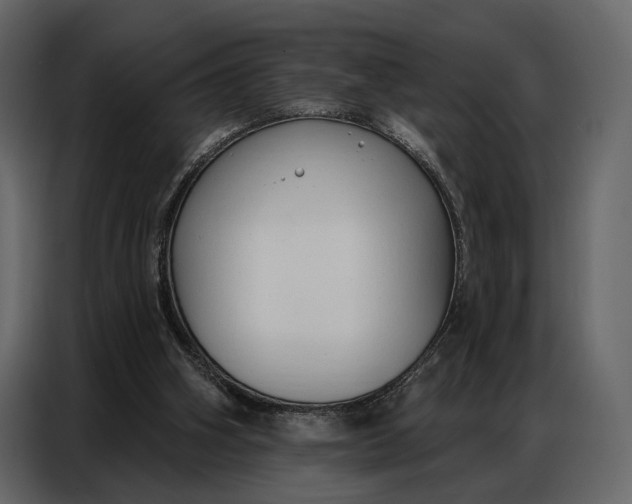 X0000086880106200705071210