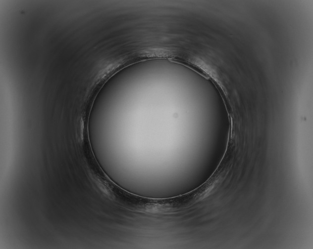 X0000086880109200705071210