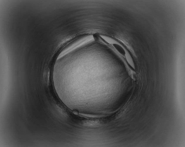 X0000086880110200705071210