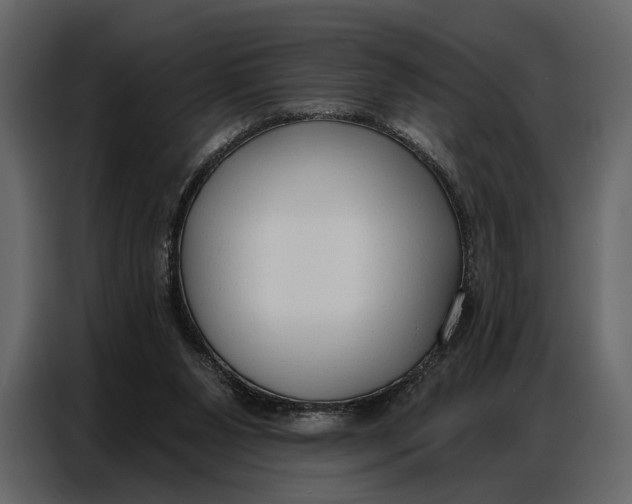 X0000086880111200705071210