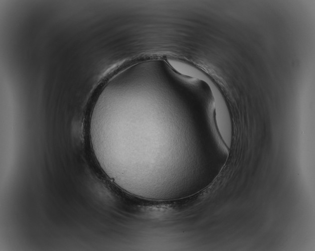 X0000086880112200705071210