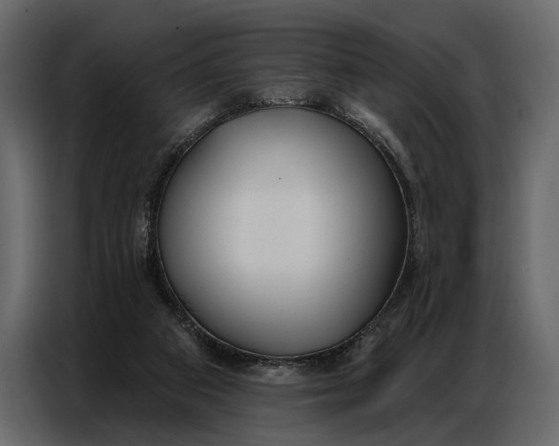 X0000086880113200705071210