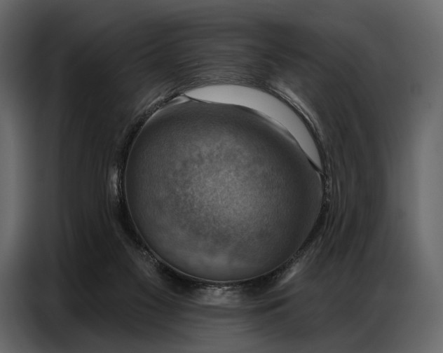 X0000086880117200705071210