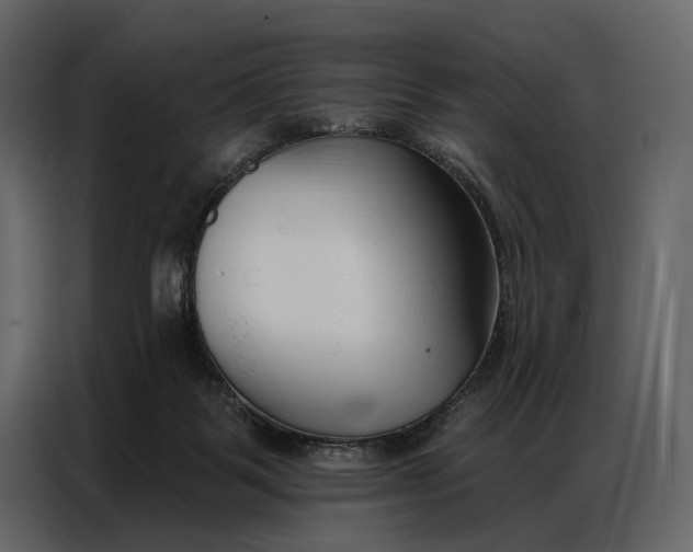 X0000086880123200705071210