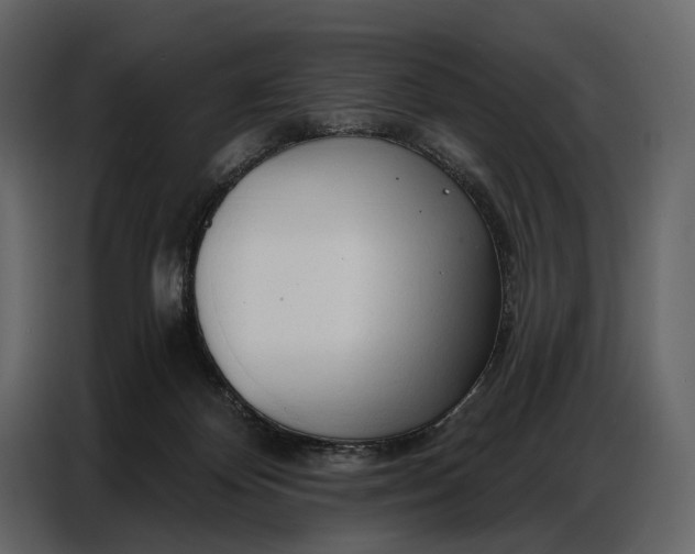 X0000086880124200705071210