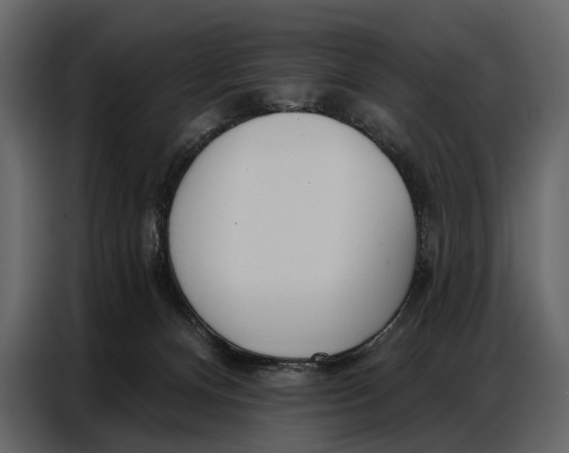 X0000086880128200705071210