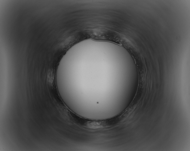 X0000086880129200705071210