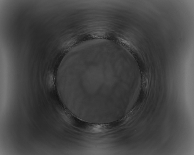 X0000086880130200705071210