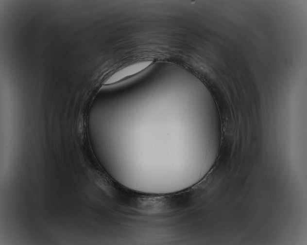 X0000086880132200705071210