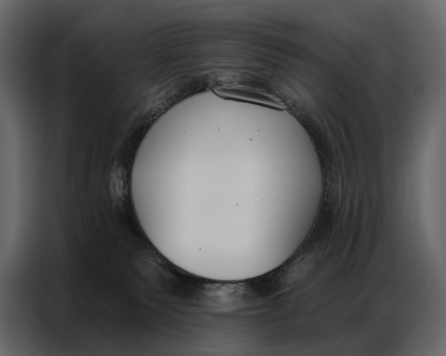 X0000086880135200705071210