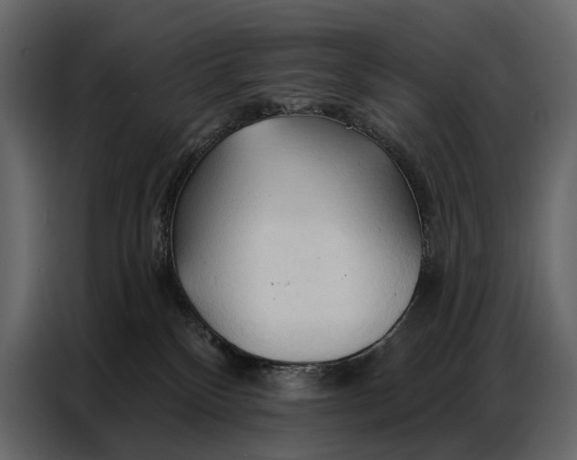 X0000086880136200705071210