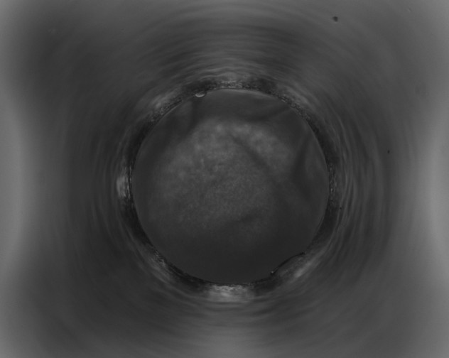 X0000086880137200705071210