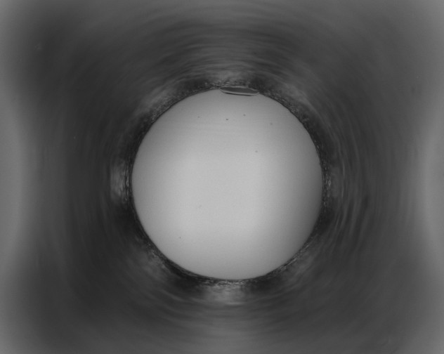 X0000086880138200705071210