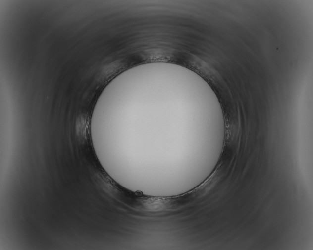 X0000086880142200705071210