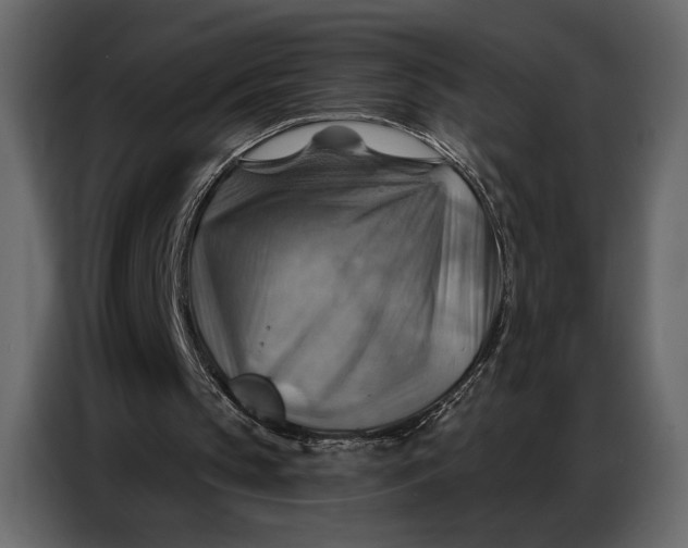 X0000086880145200705071209