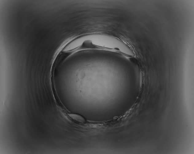 X0000086880147200705071209