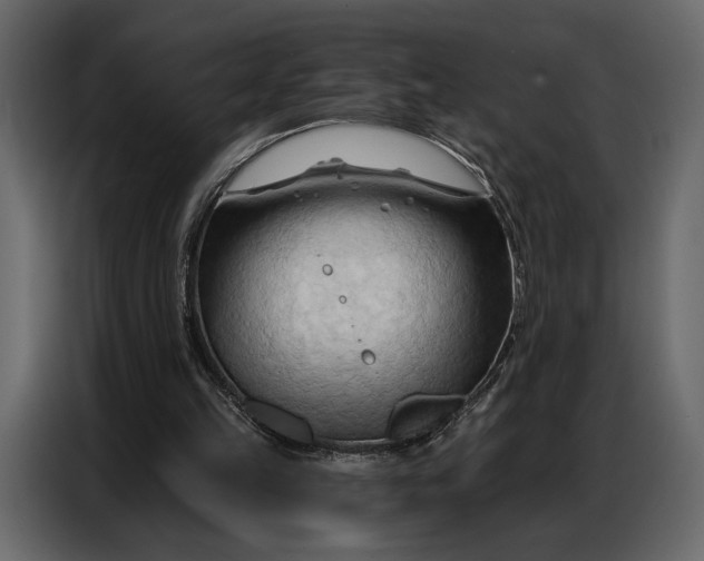 X0000086880149200705071209