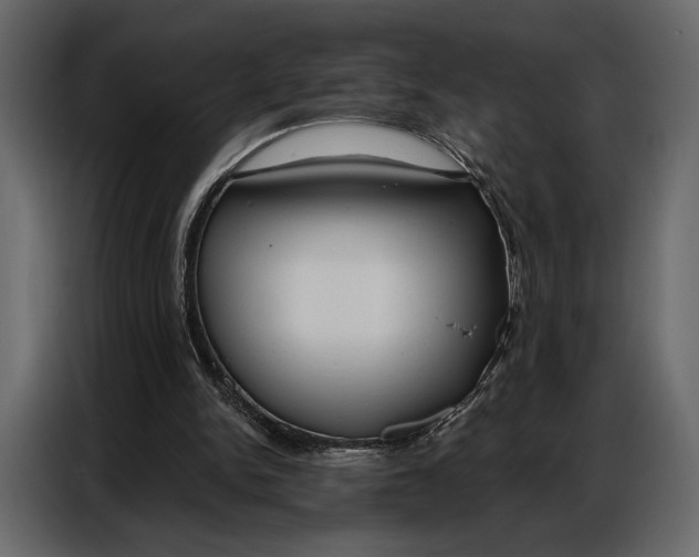 X0000086880150200705071209