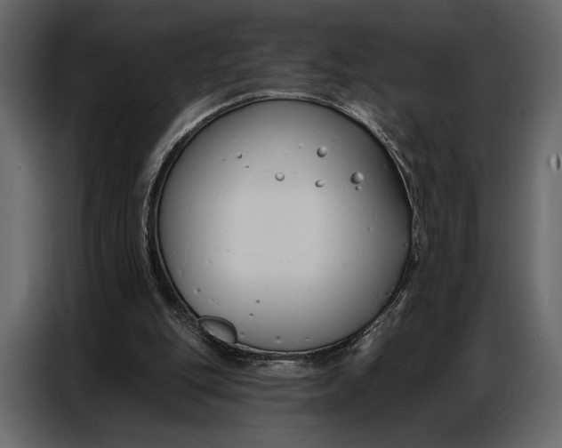 X0000086880151200705071209