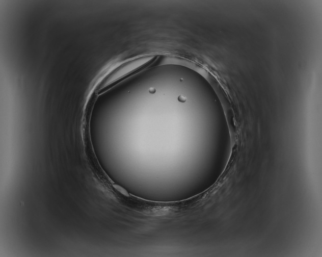 X0000086880152200705071209