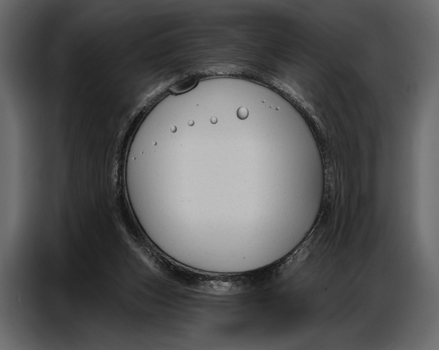 X0000086880159200705071209