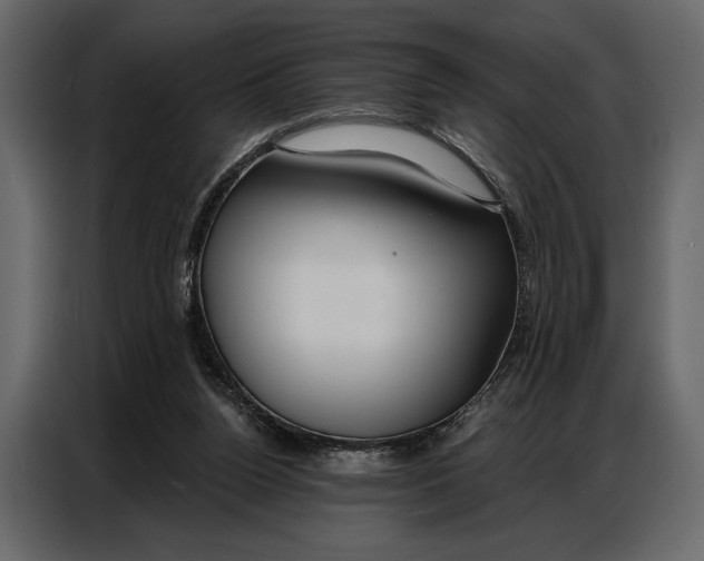 X0000086880160200705071209