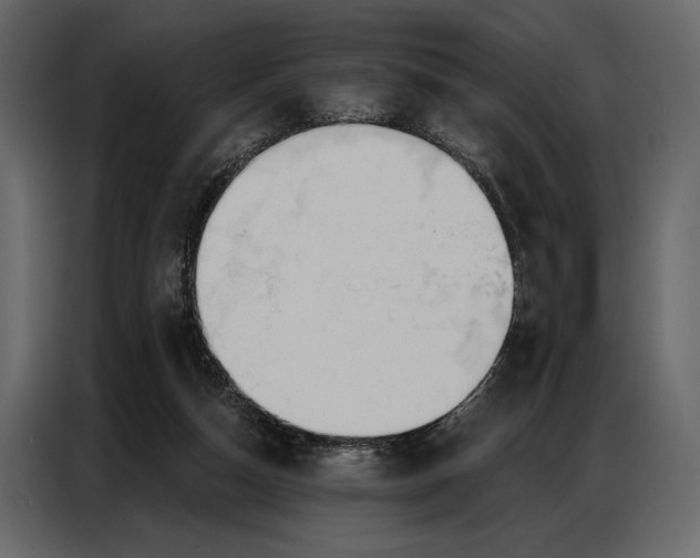 X0000086880162200705071209