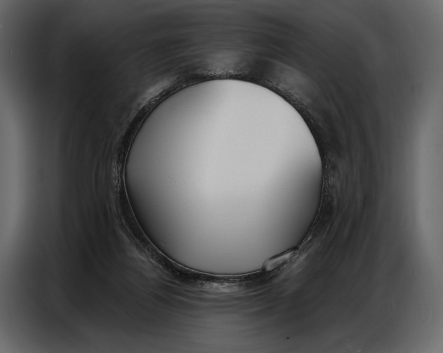 X0000086880164200705071209