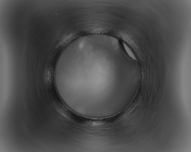 X0000086880165200705071209