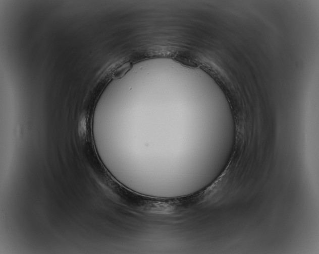 X0000086880166200705071209