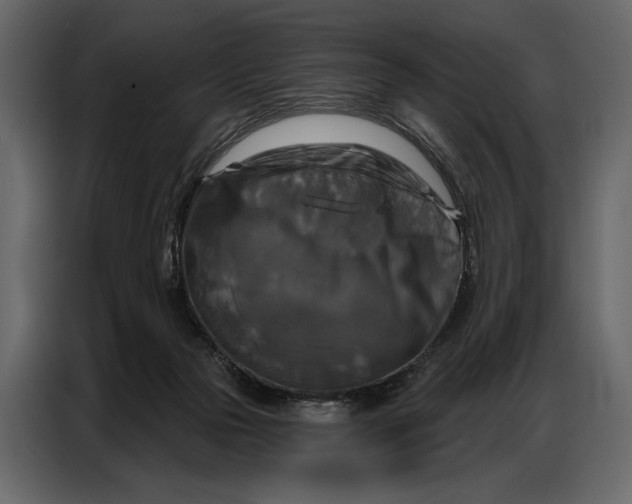 X0000086880169200705071209