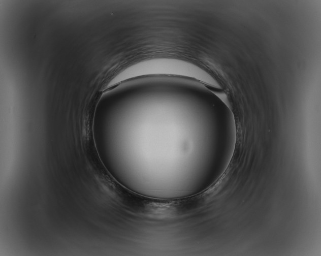 X0000086880170200705071209