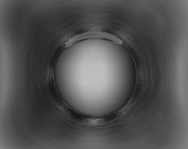 X0000086880172200705071209