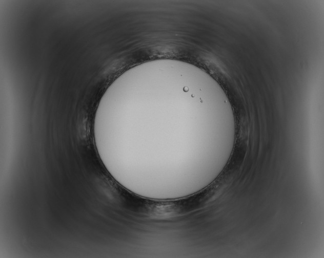 X0000086880173200705071209