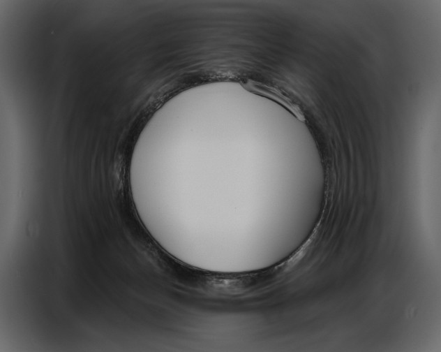 X0000086880174200705071209