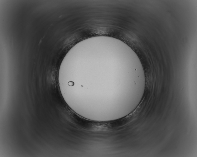 X0000086880175200705071209