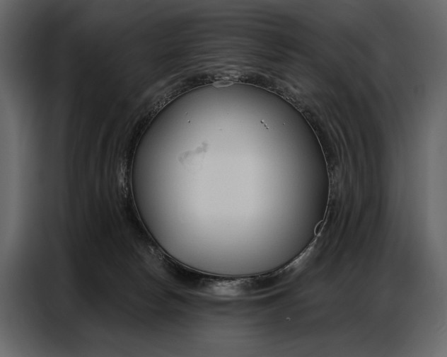 X0000086880178200705071209