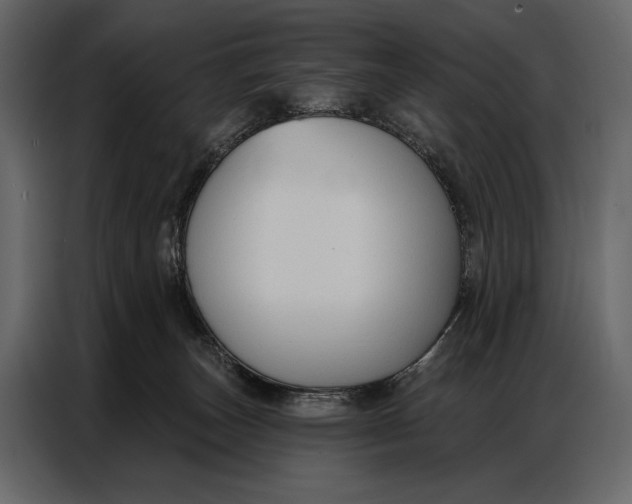 X0000086880179200705071209