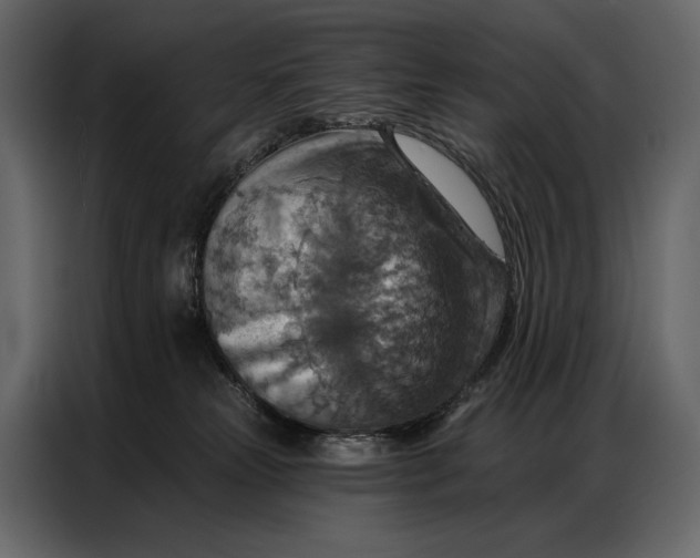 X0000086880181200705071209