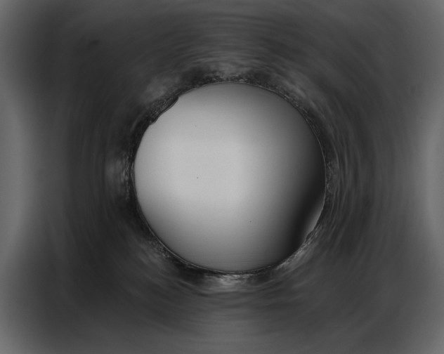 X0000086880184200705071209