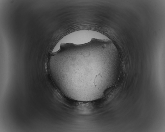 X0000086880185200705071209