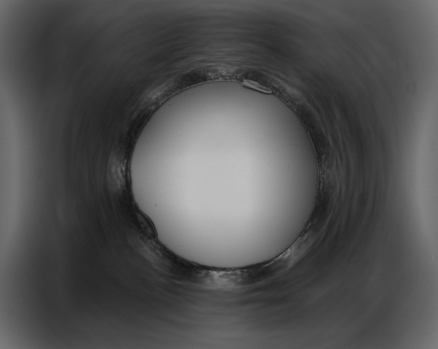 X0000086880188200705071209