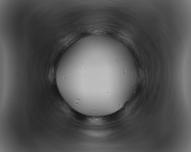 X0000086880189200705071209