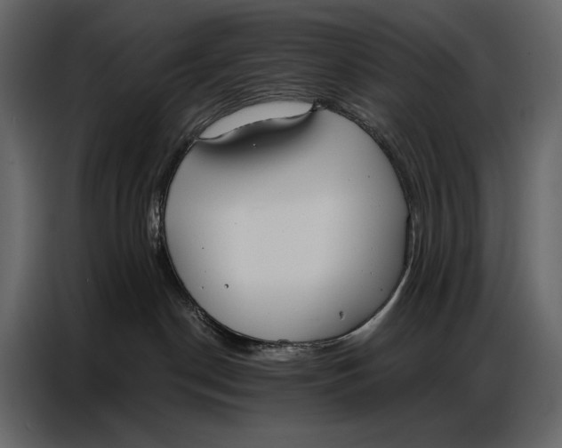 X0000086880190200705071209