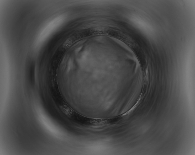 X0000086880191200705071209