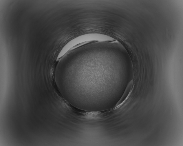 X0000086880192200705071209