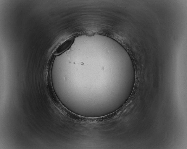 X0000086880194200705071209