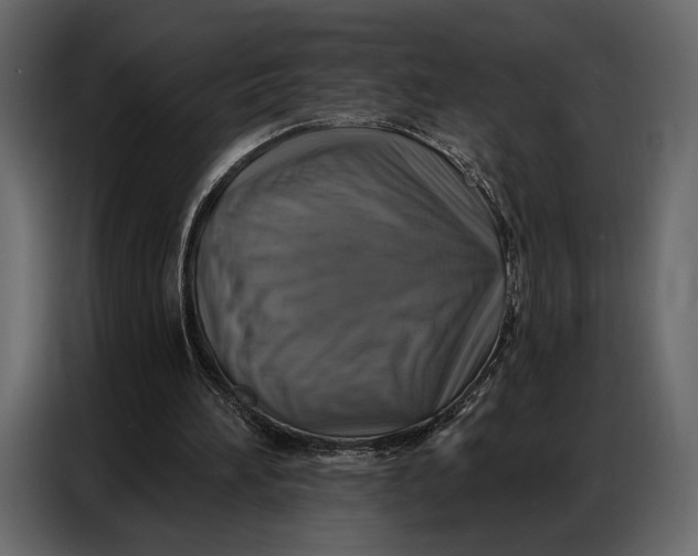 X0000086880196200705071209